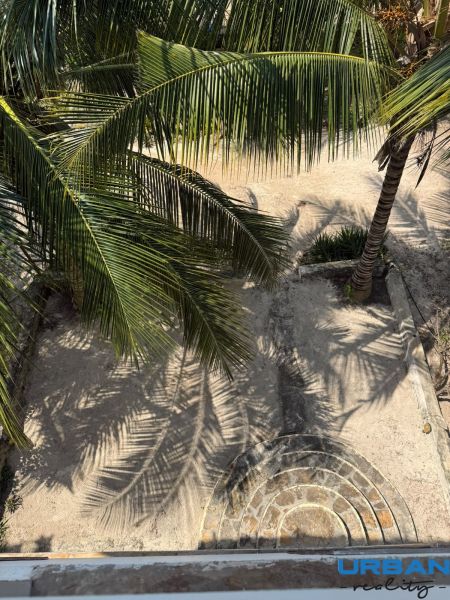 Palm trees in the garden of a family house in Pwani Mchangani cast shadows on the sandy ground.
