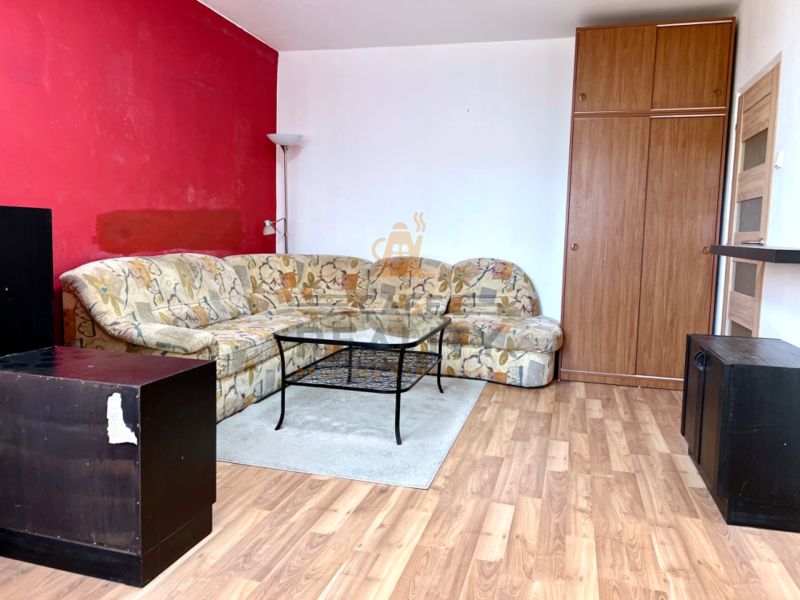 Living room with a sofa, wardrobe, and wooden decor flooring in a 2-room apartment.