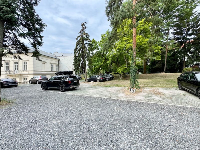 Parking lot on Palisády in Bratislava surrounded by trees and historical architecture.