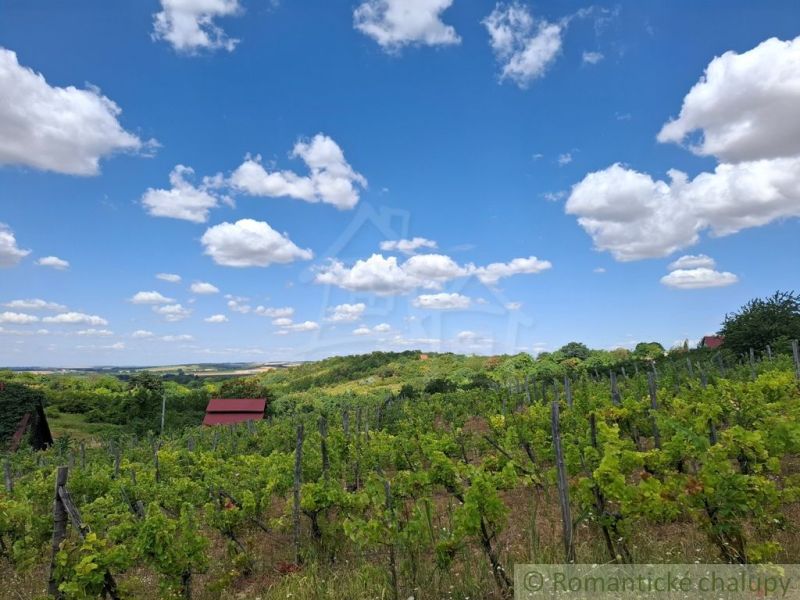 Vineyards and cottages in Gbelce under a clear blue sky with clouds.