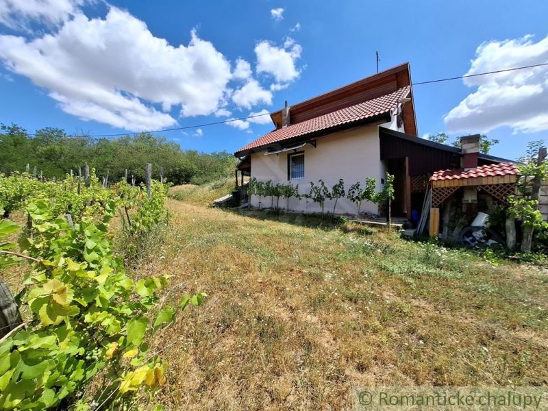 A cottage near Gbelce surrounded by vineyards and green landscape under a blue sky.