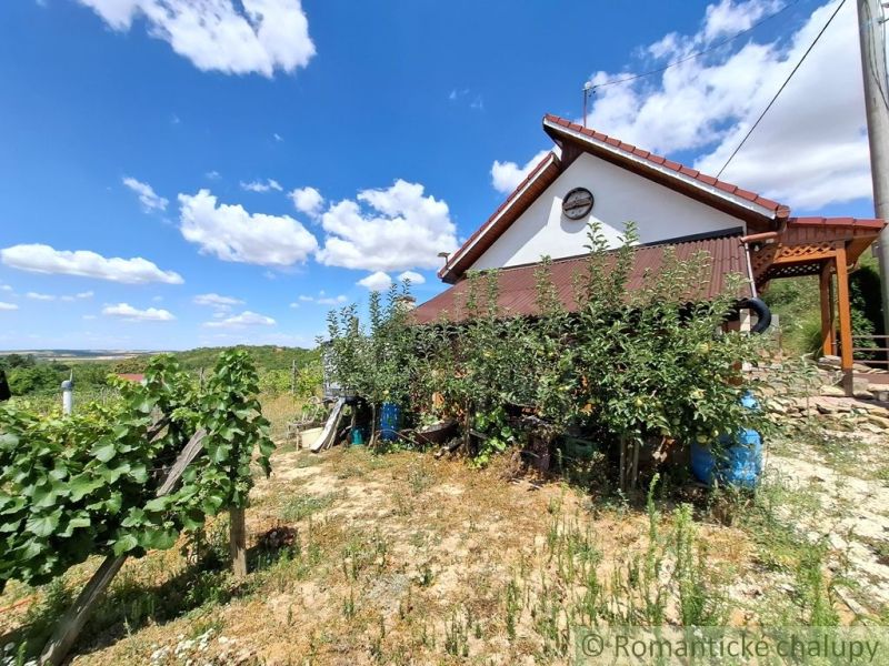 A cottage in Gbelce surrounded by vineyards and greenery under a blue sky.