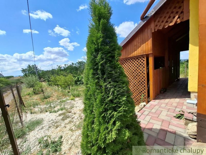 A cottage in Gbelce with a landscaped garden, a yard with trees, and a stone pathway.