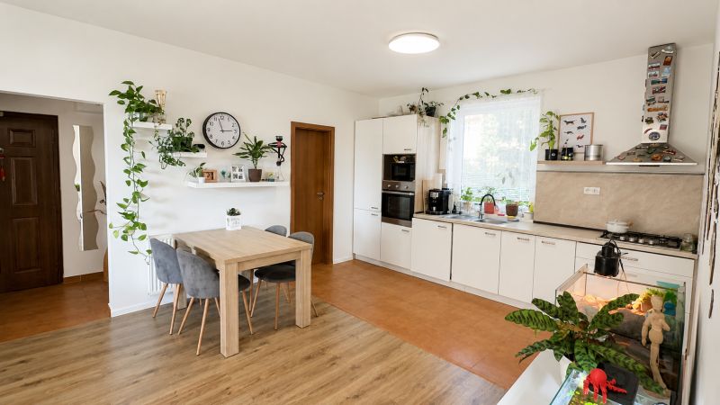 A kitchen in a 3-room apartment with plants, a wooden decor floor, and a dining table.
