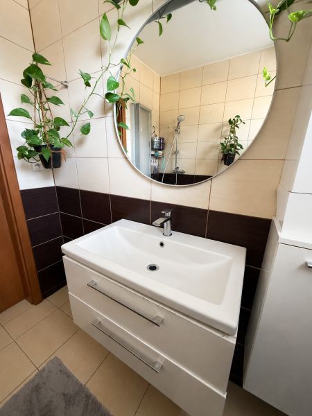 A bathroom in a 3-room apartment with a mirror, a sink, and plants on the walls.