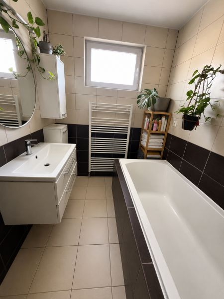 A bathroom in a 3-room apartment with a bathtub, a large mirror, and plants on the walls.