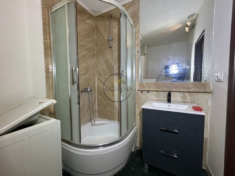 Bathroom with a shower, dark cabinet, and mirror in a 2-room apartment.