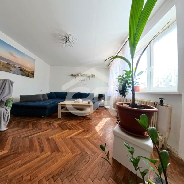 Living room in a family house with a sofa, plants, and a wooden decor floor.
