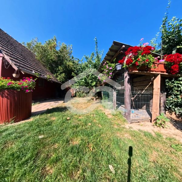 A garden with green grass and flowers by a family house in Tesárske Mlyňany on Školská Street.