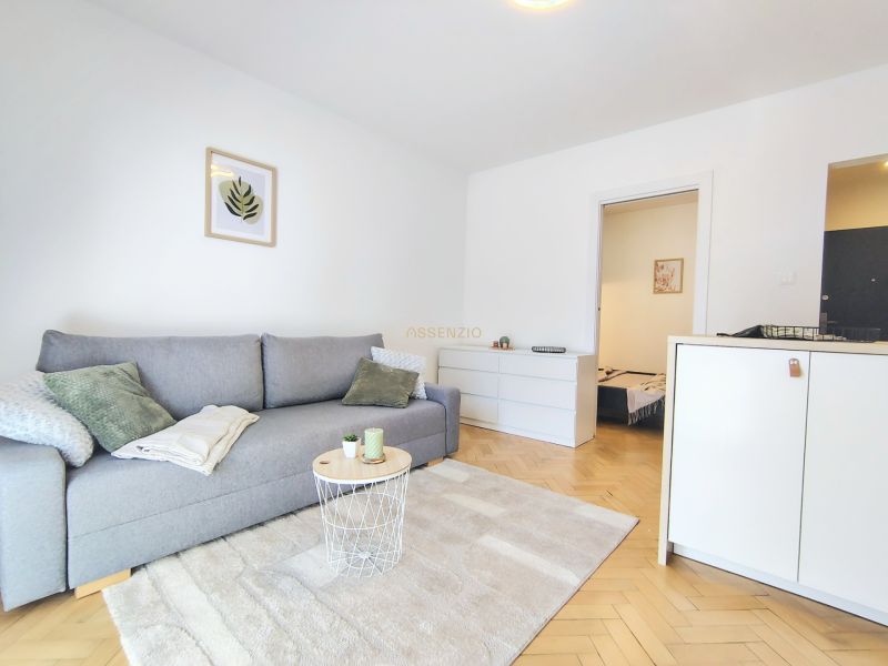 Living room with a sofa, white carpet, and wood-patterned flooring in a 2-room apartment.