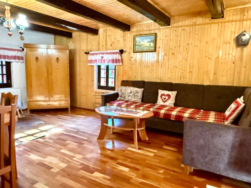 Living room in a family house with wooden walls and a floor with a wooden decor.