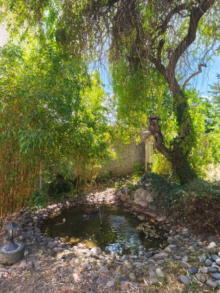 A garden with a pond and trees in a family house in Mankovce.
