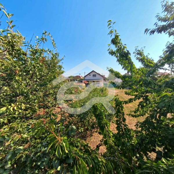 A family house on Prenosilova Street in Mojmírovce with a view through the greenery.