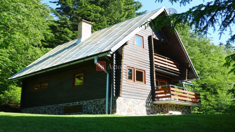 A cottage in Tále near Brezno surrounded by forests, ideal for recreation and relaxation.
