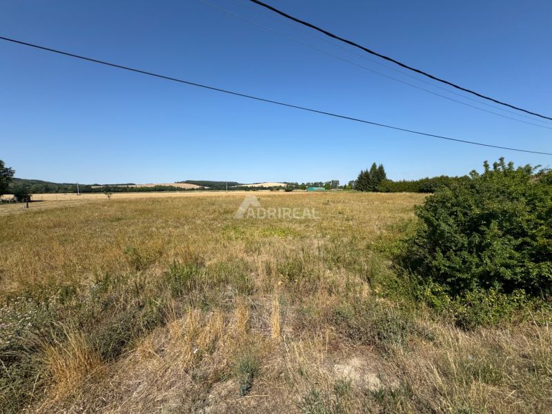 Land - housing in Hokovce with grass cover and trees.