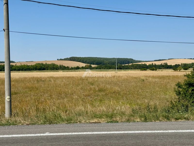 Land - housing in Hokovce, with a view of fields and forests in the background.