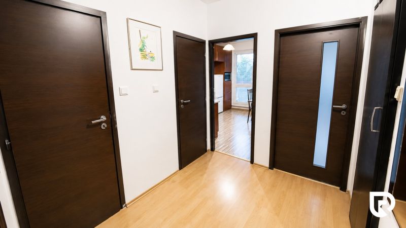 A hallway of a 2-room apartment with a wooden decor floor and three dark doors.