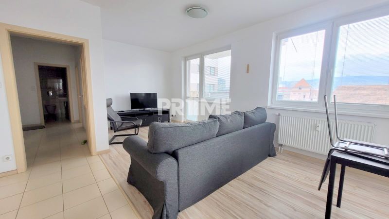 Living room in a two-room apartment with a television and a sofa, wooden decor flooring.