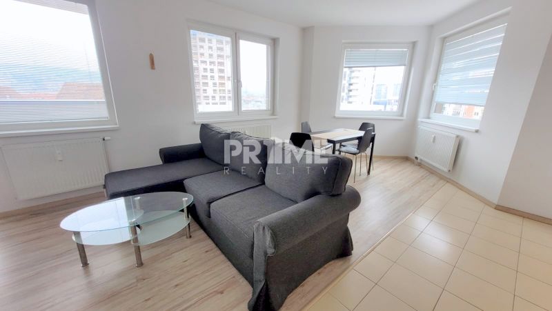 Living room in a two-room apartment, with a dark sofa and a wooden decor floor.