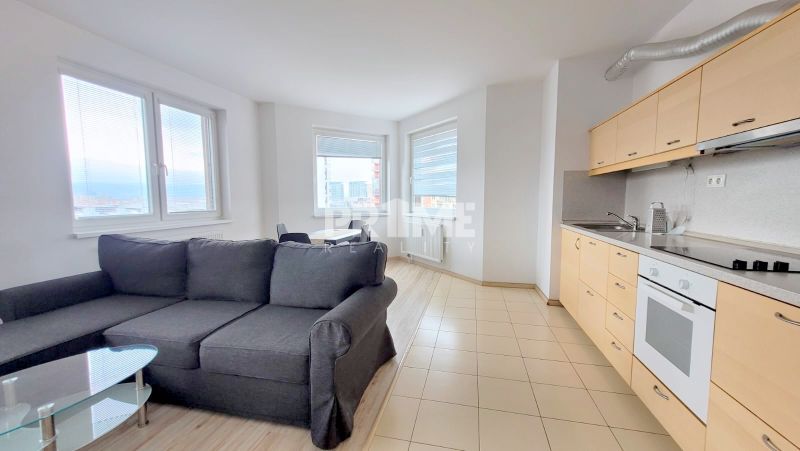Living room of a two-room apartment with a kitchen, gray sofa, wooden decor flooring.