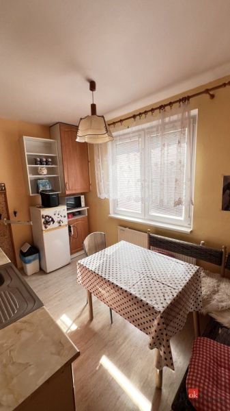 Kitchen in a 2-room apartment with a dining table, tall cabinet, and window.