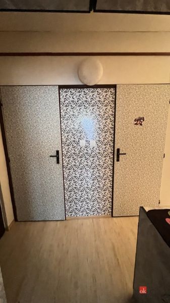 Wallpapered doors in the interior of a 2-room apartment with a wood-patterned floor.