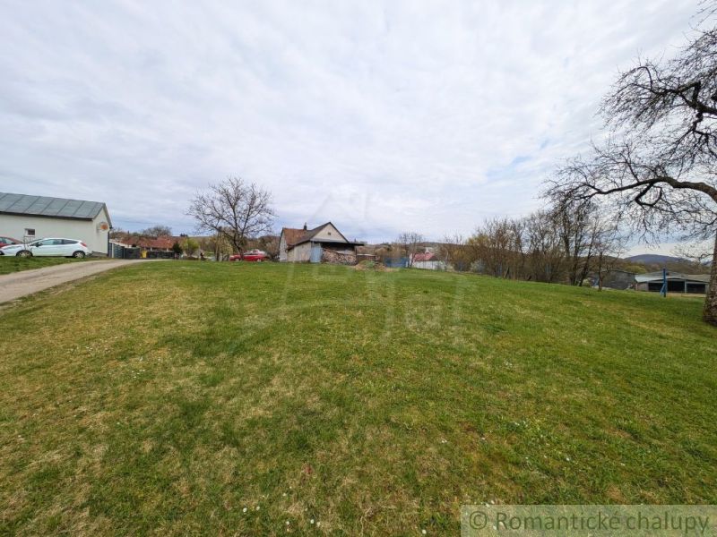 A garden at a family house in Volica with a grassy area and trees.