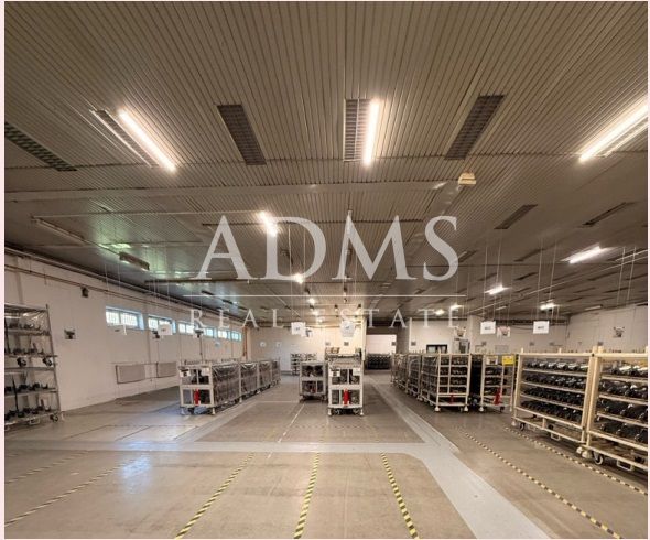 Warehouses and halls with shelves and a lighted floor with a wooden decor.