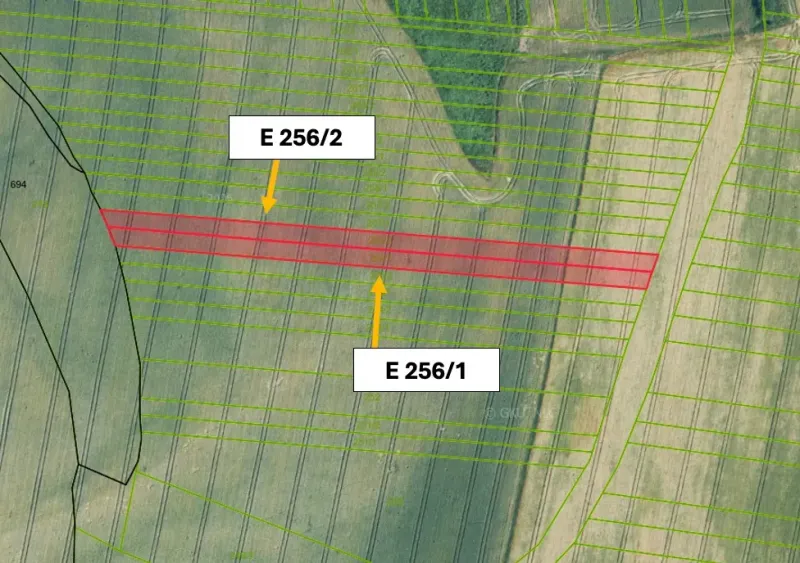 The cadastral map shows the division of agricultural and forest lands in Medzany.