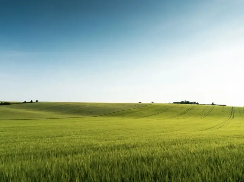 Green fields and gentle hills in the agricultural and forest lands near Medzany.