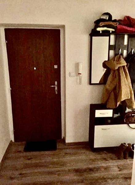 Entrance hallway in a 2-room apartment with wood-patterned flooring, a coat rack, and a mirror.