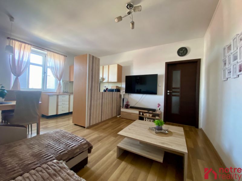 A living room in a studio apartment with a wood-patterned floor and a television.