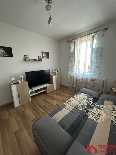 Living room in a two-room apartment with a wooden decor floor, a sofa, and a television.