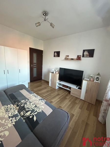 Living room with a sofa, wardrobe, and wooden decor flooring in a 2-room apartment.