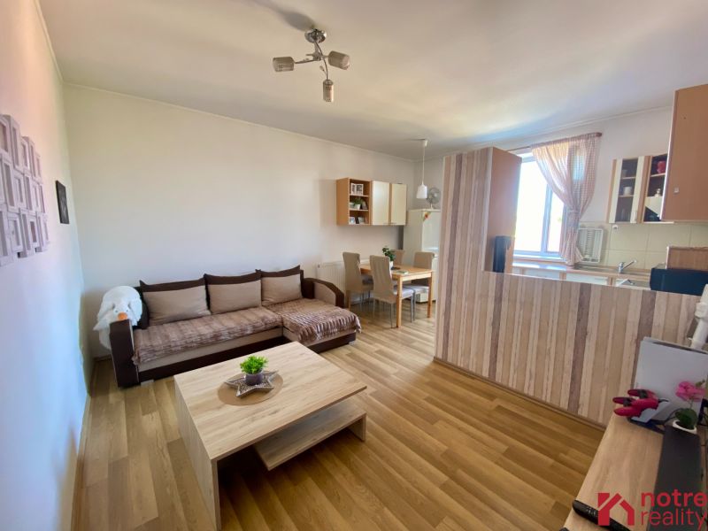 Living room in a studio apartment with wood-patterned flooring and an open-plan kitchen.