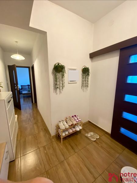 Entrance hallway in a one-bedroom apartment with wooden decor, shoes, and plants.