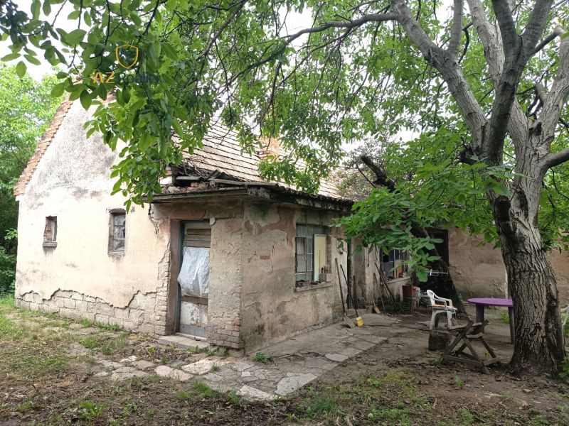 An older family house in Nové Zámky, surrounded by trees and a neglected garden.