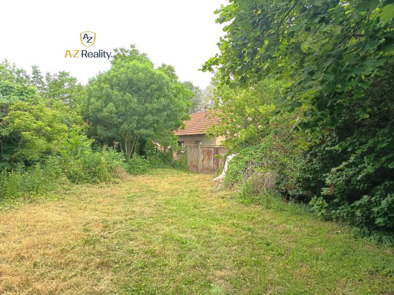 A garden at a family house in Nové Zámky with a lawn and rich greenery.