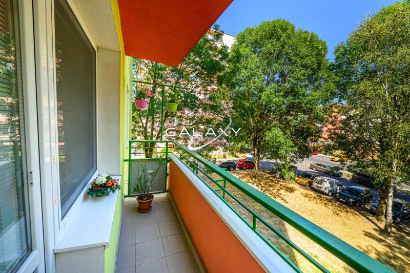 The balcony of the 2-room apartment on Sládkovičova Street in Fiľakovo, lined with greenery, with flowers.