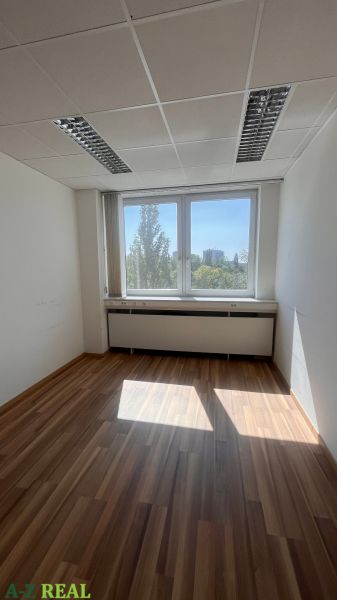 Offices with a large window and a wooden decor floor.
