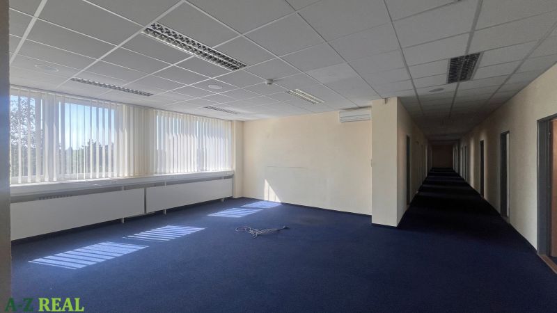 Offices with blue carpet, large windows, and a suspended ceiling on Drieňová Street.