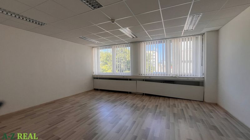 Office with a wooden floor design and large windows, bright environment.