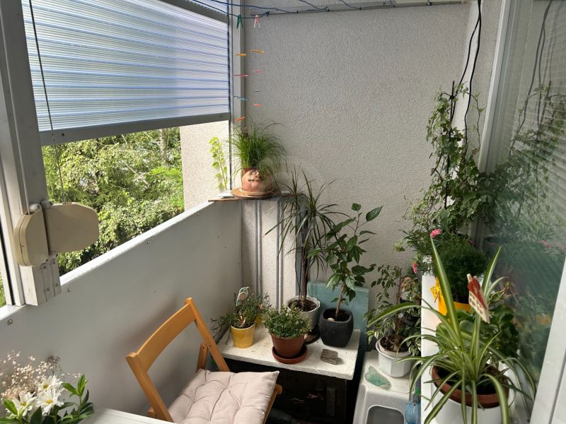 A still life of a balcony in a three-room apartment with plants and a wooden chair.