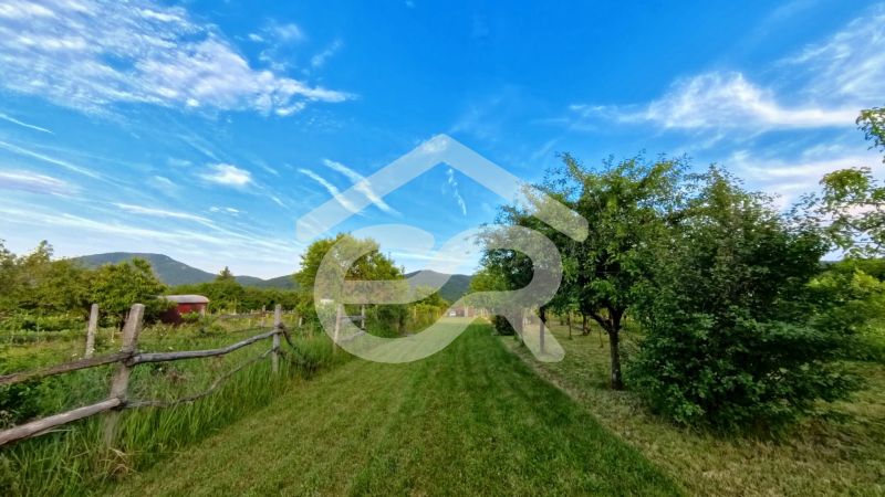 A garden near a cottage in Podhorany with greenery, a blue sky, and distant mountains.
