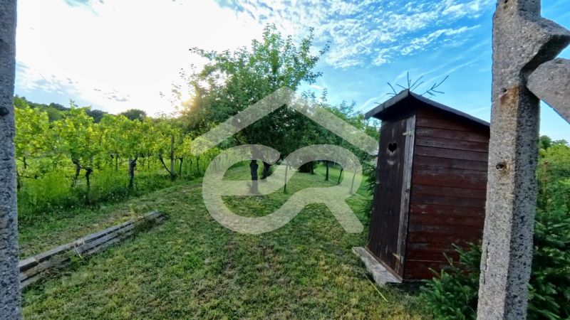 A cottage in Podhorany with a wooden house and fruit trees, blue sky.