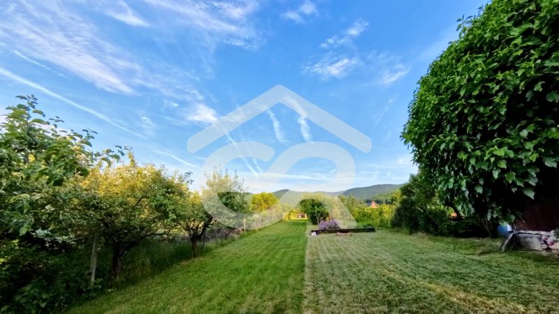 A garden near the cottage in Podhorany with mowed lawn and fruit trees.