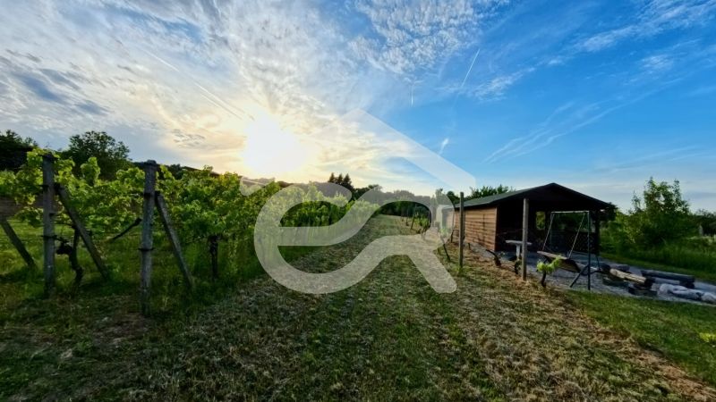 A cottage in Podhorany with a vineyard at sunset and a clear sky.