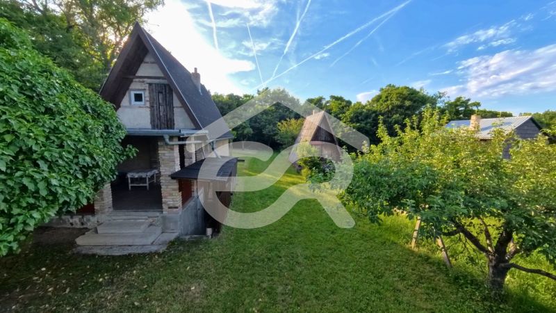 A cottage in Podhorany surrounded by greenery and fruit trees, sunny day.