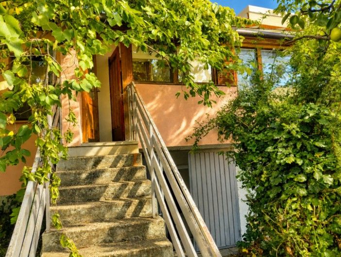 A family house in Illmitz with climbing greenery surrounding the staircase and entrance door.