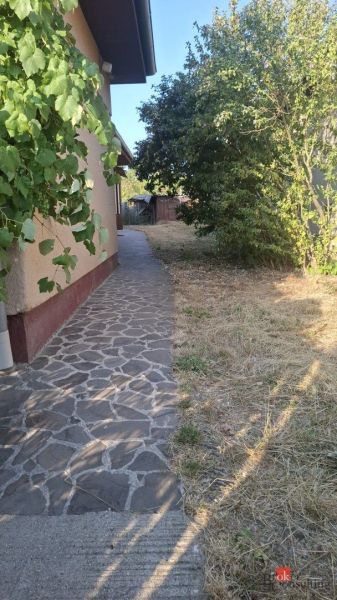 A sidewalk next to a family house in the village of Ladice surrounded by greenery and dry grass.